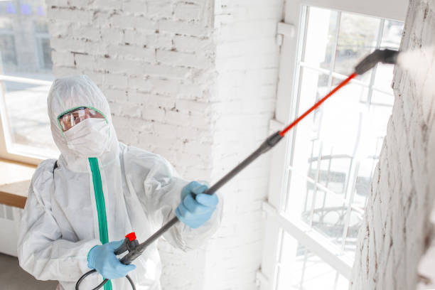 Best Industrial Mold Remediation  in Waimalu, HI