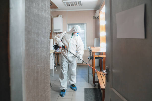 Best Real Estate Mold Inspection  in Waimalu, HI