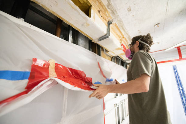 Best Mold Damage Restoration  in Waimalu, HI