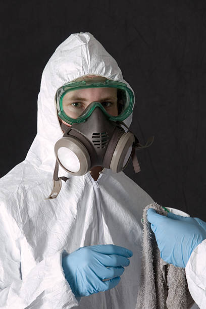 Best Asbestos and Lead Testing During Mold Inspection  in Waimalu, HI